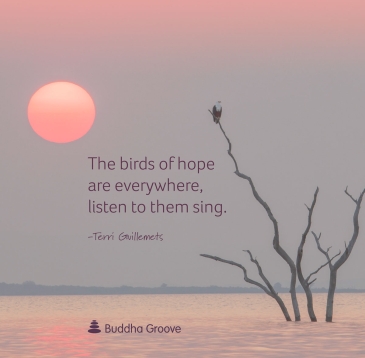 birds of hope